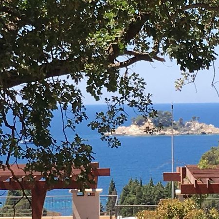 Villa Julia Petrovac Exterior photo