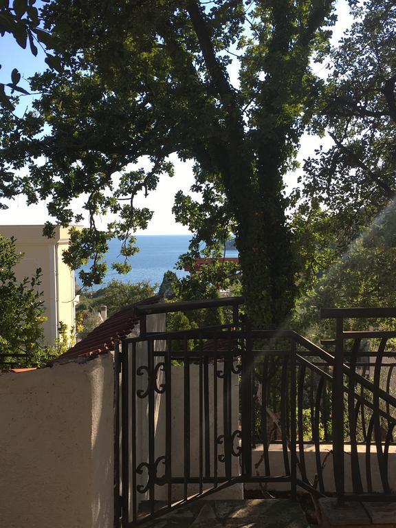 Villa Julia Petrovac Exterior photo