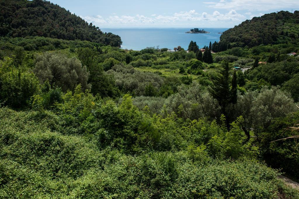 Villa Julia Petrovac Exterior photo
